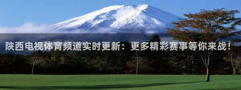 陕西电视体育频道实时更新：更多精彩赛事等你来战！