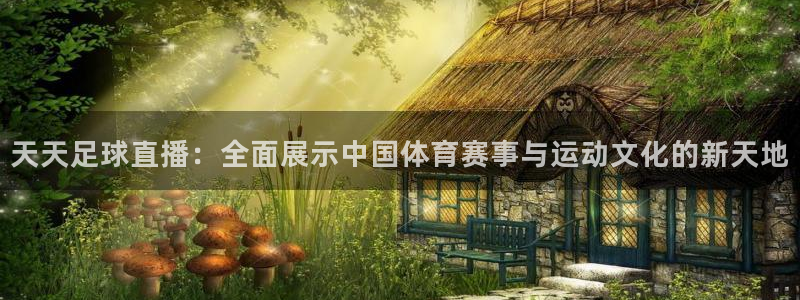 天天足球直播：全面展示中国体育赛事与运动文化的新天地