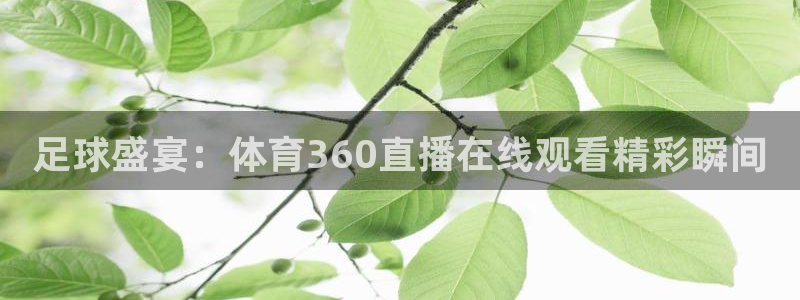 足球盛宴：体育360直播在线观看精彩瞬间