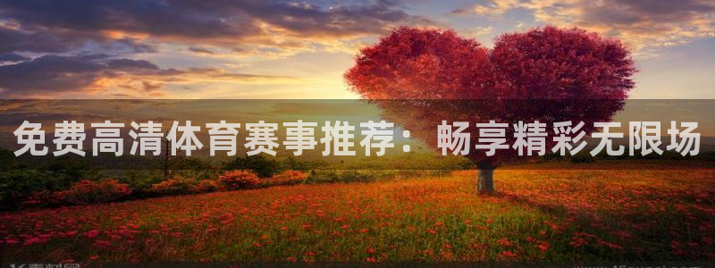 免费高清体育赛事推荐：畅享精彩无限场