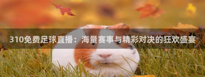 310免费足球直播：海量赛事与精彩对决的狂欢盛宴