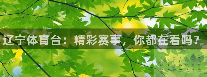 辽宁体育台：精彩赛事，你都在看吗？