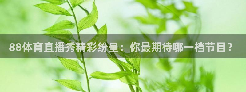 88体育直播秀精彩纷呈：你最期待哪一档节目？