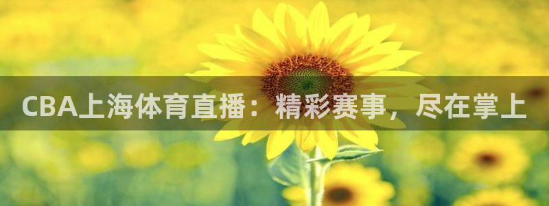 CBA上海体育直播：精彩赛事，尽在掌上