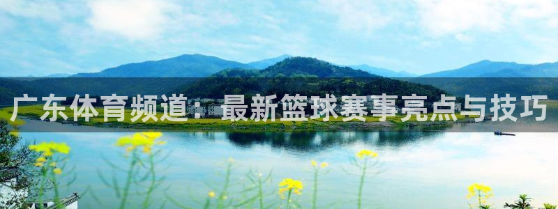 广东体育频道：最新篮球赛事亮点与技巧