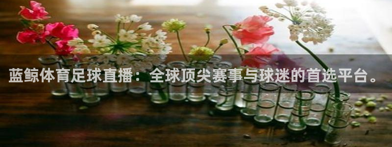 蓝鲸体育足球直播：全球顶尖赛事与球迷的首选平台。