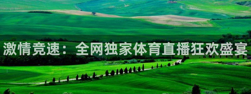 激情竞速：全网独家体育直播狂欢盛宴