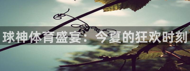 球神体育盛宴：今夏的狂欢时刻