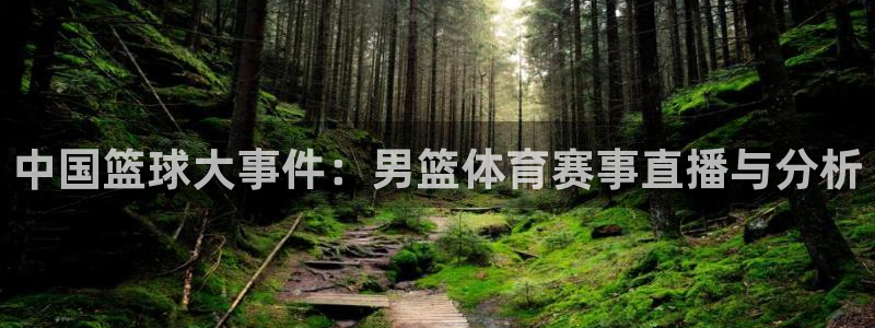 中国篮球大事件：男篮体育赛事直播与分析