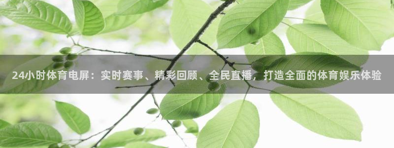 24小时体育电屏：实时赛事、精彩回顾、全民直播，打造全面的体育娱乐体验
