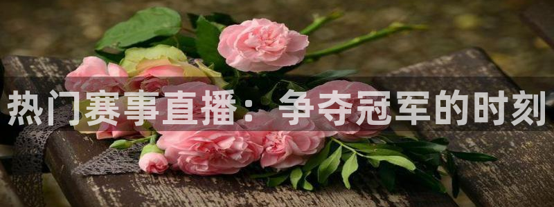 热门赛事直播：争夺冠军的时刻