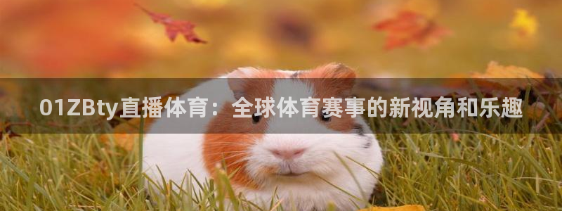 01ZBty直播体育：全球体育赛事的新视角和乐趣