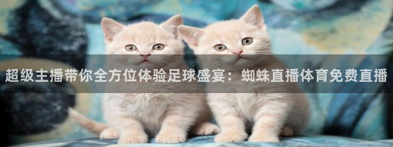 超级主播带你全方位体验足球盛宴：蜘蛛直播体育免费直播