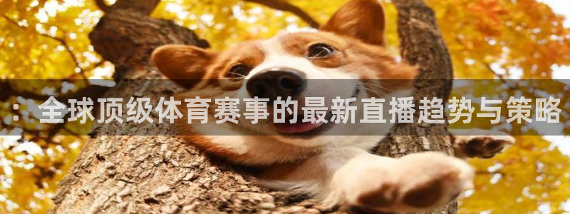 ：全球顶级体育赛事的最新直播趋势与策略