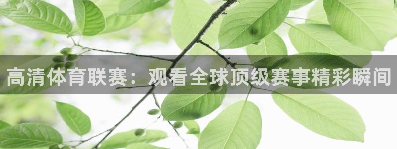 高清体育联赛：观看全球顶级赛事精彩瞬间