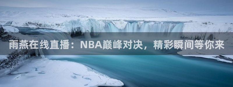 雨燕在线直播：NBA巅峰对决，精彩瞬间等你来