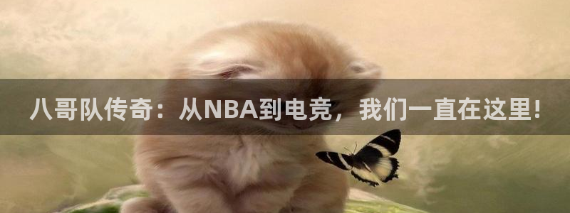 八哥队传奇：从NBA到电竞，我们一直在这里!