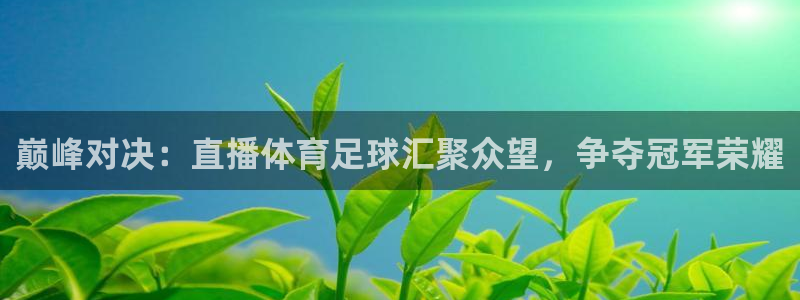 巅峰对决：直播体育足球汇聚众望，争夺冠军荣耀