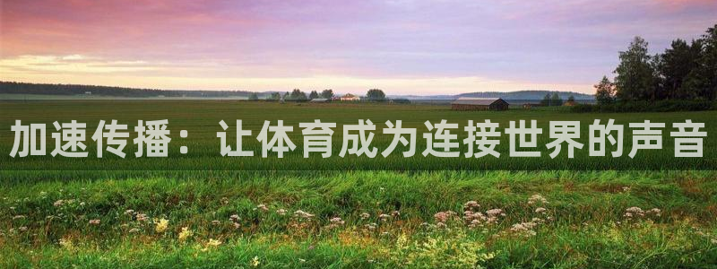 加速传播：让体育成为连接世界的声音