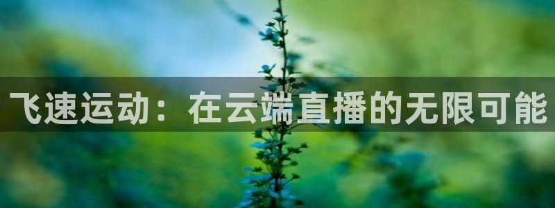 飞速运动：在云端直播的无限可能