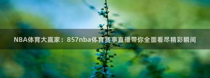 NBA体育大赢家：857nba体育赛事直播带你全面看尽精彩瞬间