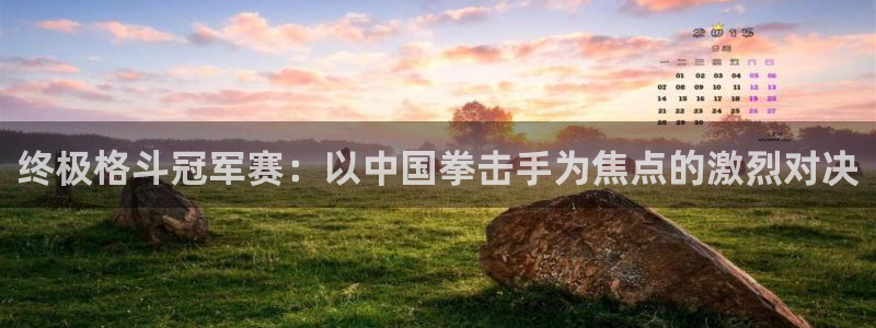 终极格斗冠军赛：以中国拳击手为焦点的激烈对决