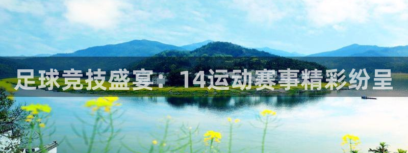 足球竞技盛宴：14运动赛事精彩纷呈