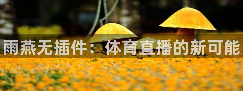 雨燕无插件：体育直播的新可能
