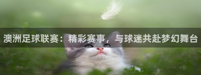 澳洲足球联赛：精彩赛事，与球迷共赴梦幻舞台