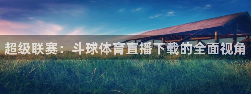 超级联赛：斗球体育直播下载的全面视角