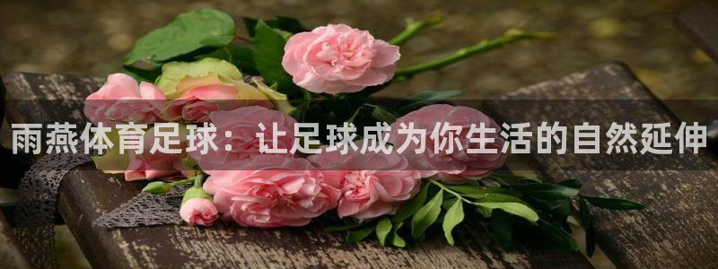 雨燕体育足球：让足球成为你生活的自然延伸