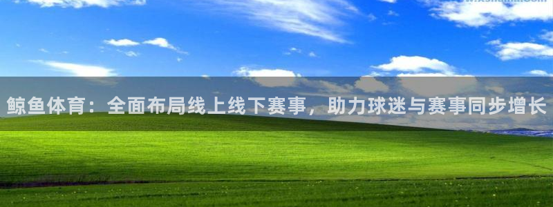 鲸鱼体育：全面布局线上线下赛事，助力球迷与赛事同步增长