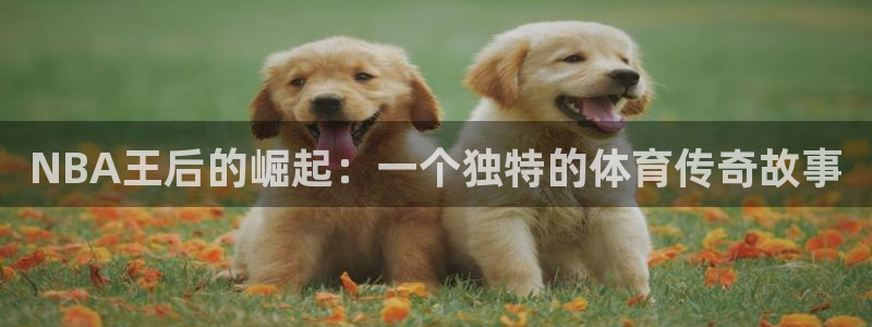 NBA王后的崛起：一个独特的体育传奇故事