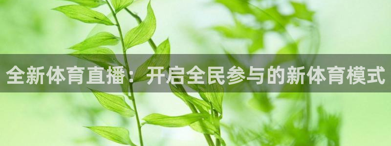 全新体育直播：开启全民参与的新体育模式