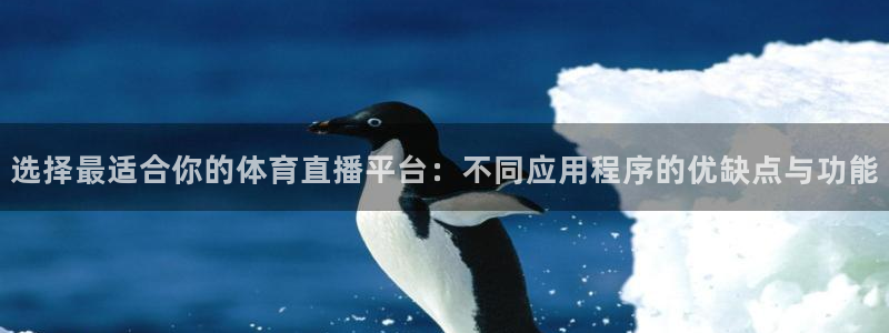 选择最适合你的体育直播平台：不同应用程序的优缺点与功能