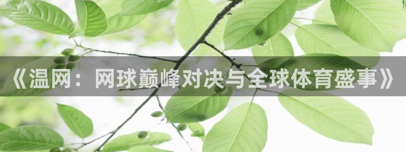 《温网：网球巅峰对决与全球体育盛事》