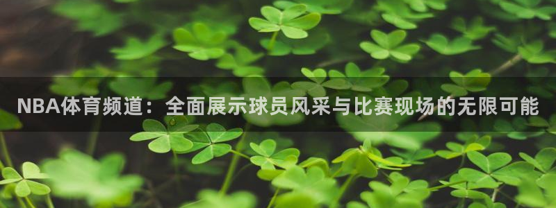NBA体育频道：全面展示球员风采与比赛现场的无限可能