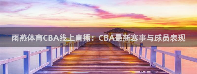 雨燕体育CBA线上直播：CBA最新赛事与球员表现