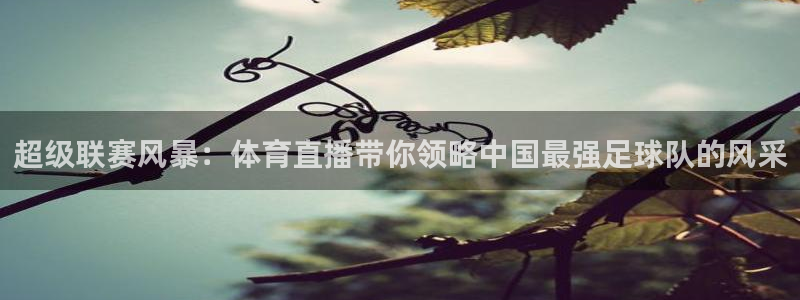 超级联赛风暴：体育直播带你领略中国最强足球队的风采