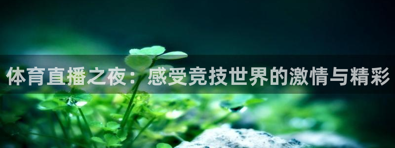体育直播之夜：感受竞技世界的激情与精彩