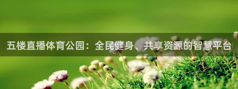 五楼直播体育公园：全民健身、共享资源的智慧平台