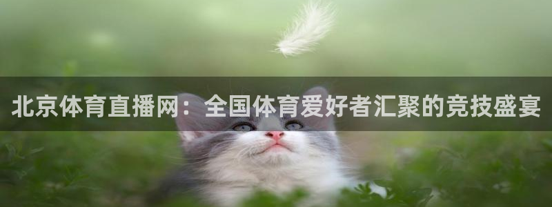 北京体育直播网：全国体育爱好者汇聚的竞技盛宴