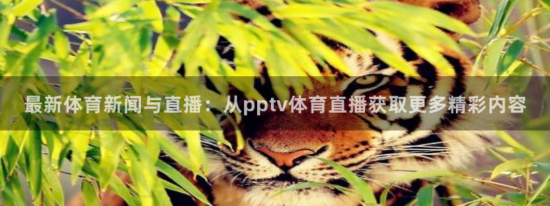 最新体育新闻与直播：从pptv体育直播获取更多精彩内容