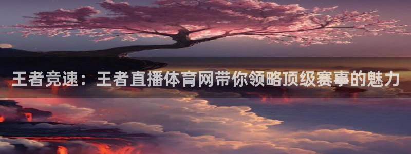 王者竞速：王者直播体育网带你领略顶级赛事的魅力