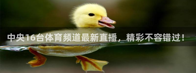 中央16台体育频道最新直播，精彩不容错过！