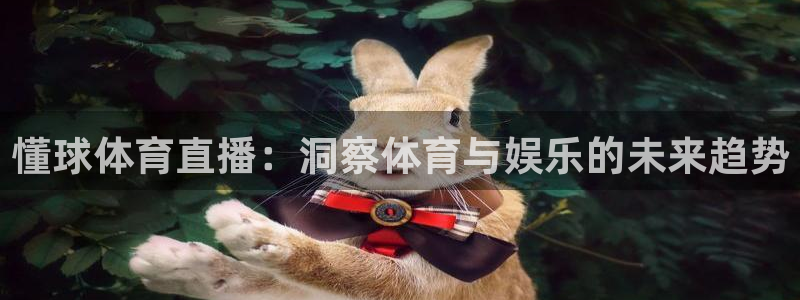 懂球体育直播：洞察体育与娱乐的未来趋势