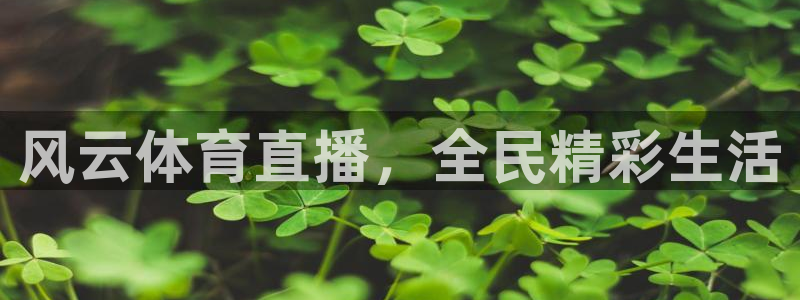 风云体育直播，全民精彩生活