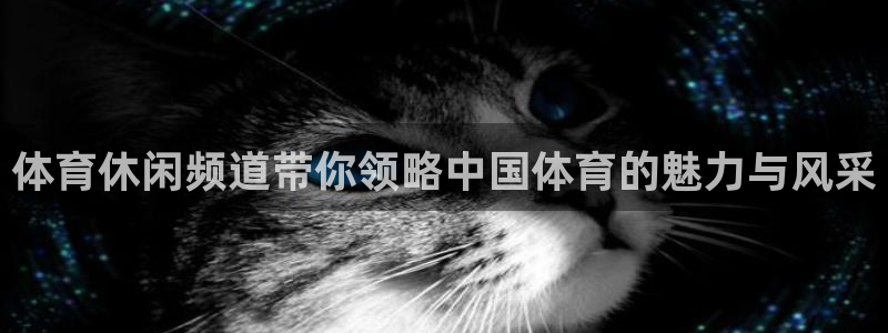 体育休闲频道带你领略中国体育的魅力与风采