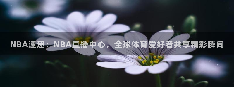 NBA速递：NBA直播中心，全球体育爱好者共享精彩瞬间
