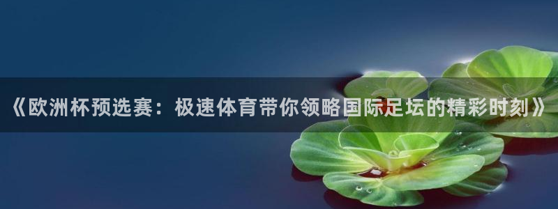 《欧洲杯预选赛：极速体育带你领略国际足坛的精彩时刻》
